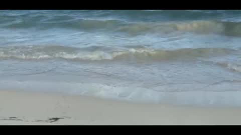 Snapshot of louis_zh chatting on November 5, 9:04 pm Louis online show from November 5, 9:04 pm