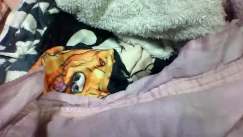 Snapshot of lovaelisa chatting on November 2, 2:52 pm lovaelisa online show from November 2, 2:52 pm