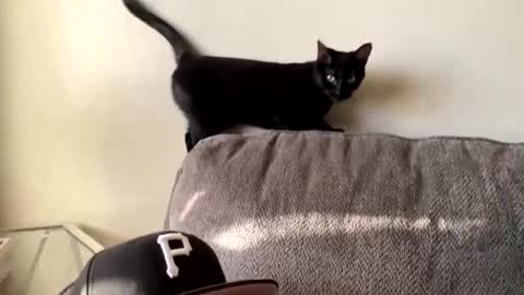 lovecurve_ online show from March 7, 1:09 am