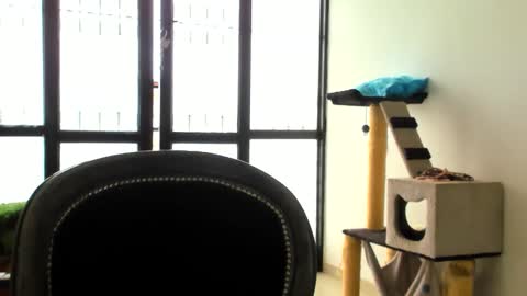 Snapshot of luara__01__lecat_1 chatting on November 24, 5:34 pm luara__01__lecat_1 online show from November 24, 5:34 pm