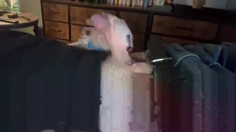 Snapshot of lubthemtitties chatting on December 22, 8:49 am lubthemtitties online show from December 22, 8:49 am