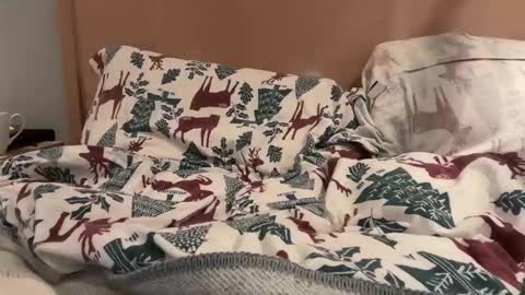 lucca_d123 online show from September 22, 7:21 am