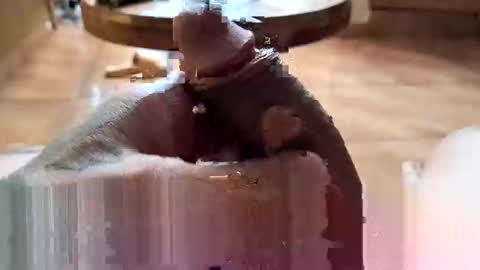 Snapshot of lucky_og24 chatting on December 27, 10:37 pm lucky_og24 online show from December 27, 10:37 pm