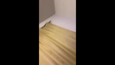 luis132578 online show from November 22, 12:37 pm