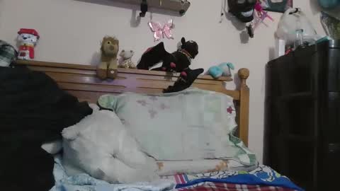 luismiastarot online show from October 28, 1:53 am