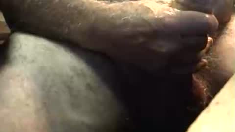 Snapshot of lukestarfckr chatting on October 5, 5:50 am lukestarfckr online show from October 5, 5:50 am