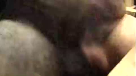 Snapshot of lukestarfckr chatting on October 9, 9:40 am lukestarfckr online show from October 9, 9:40 am