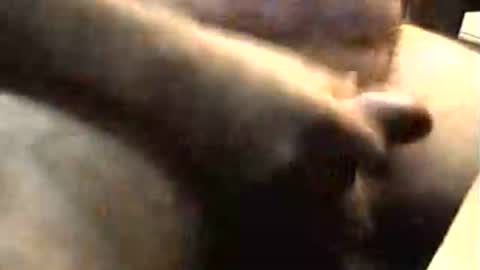 Snapshot of lukestarfckr chatting on November 2, 9:22 am lukestarfckr online show from November 2, 9:22 am