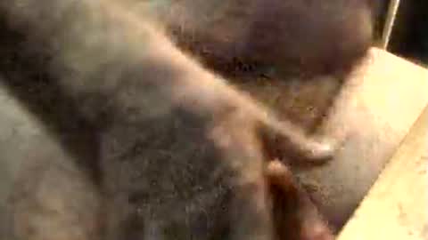 Snapshot of lukestarfckr chatting on November 10, 9:19 am lukestarfckr online show from November 10, 9:19 am