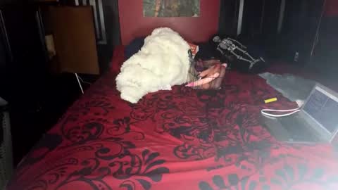 Lulu online show from February 14, 4:09 pm