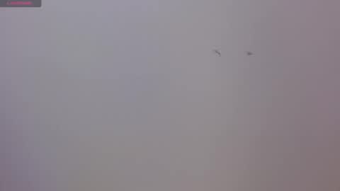 Snapshot of luna_naughty66 chatting on November 17, 8:36 pm Luna and Rick online show from November 17, 8:36 pm