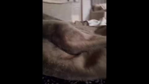 lunchmoney23 online show from March 6, 2:30 am