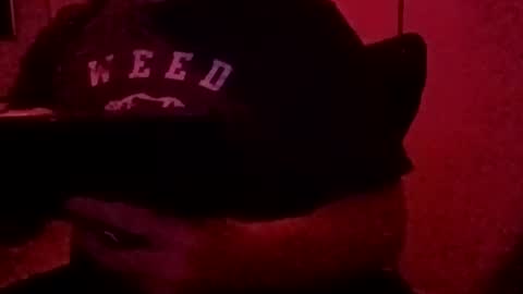 Snapshot of luv2toknstrok chatting on November 3, 10:49 am Luv2tokNstrok online show from November 3, 10:49 am