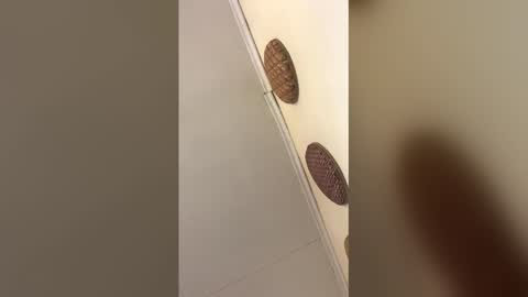 luxvietes online show from January 17, 11:48 am