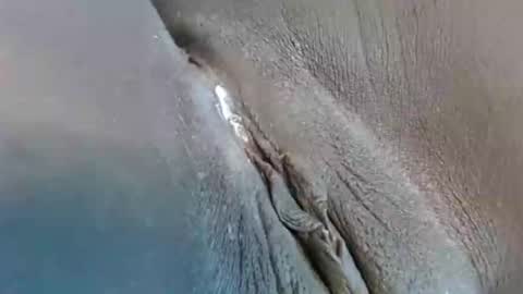 Snapshot of lyiajee chatting on September 23, 2:53 pm lyiajee online show from September 23, 2:53 pm