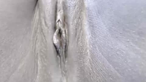 Snapshot of lyiajee chatting on October 14, 7:09 am lyiajee online show from October 14, 7:09 am