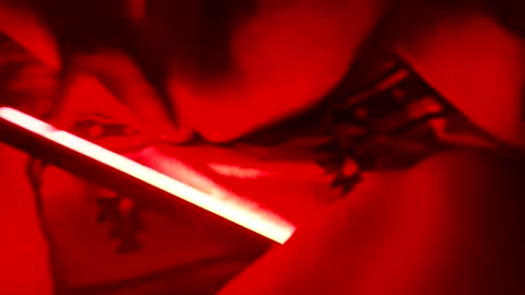 lyinonme online show from October 24, 12:01 pm