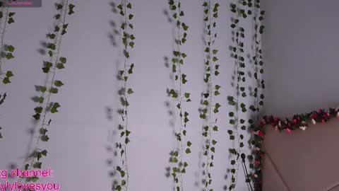 Lyly   online show from September 12, 7:41 am