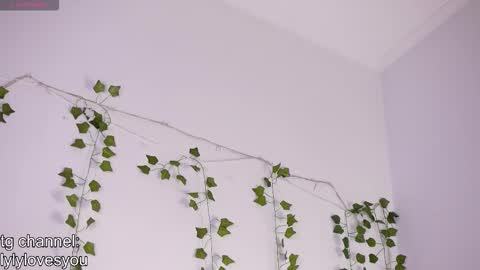 Lyly   online show from November 24, 5:40 am