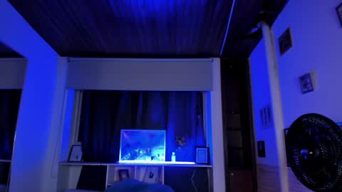 Lyssa  Everyday From 0700 to 1630 Col Time online show from January 14, 1:15 am