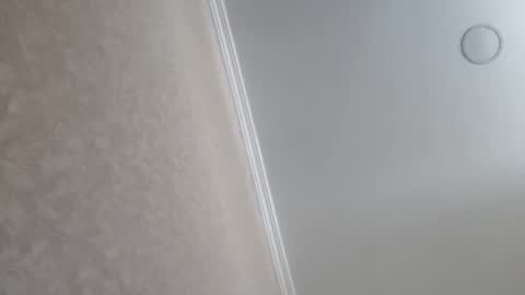 Tchia online show from February 23, 9:39 am