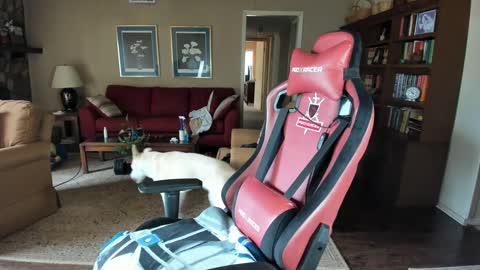 machinecumkelly69 online show from September 21, 6:09 pm