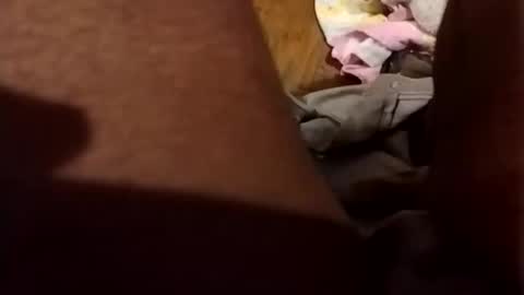 macktommy782 online show from December 5, 3:59 am