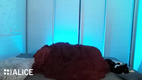 Alice online show from November 2, 5:37 pm