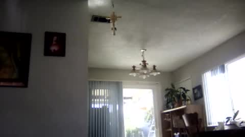 Snapshot of magdalena_805 chatting on February 7, 9:48 pm magdalena_805 online show from February 7, 9:48 pm