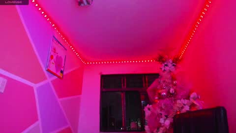   online show from January 21, 2:00 am