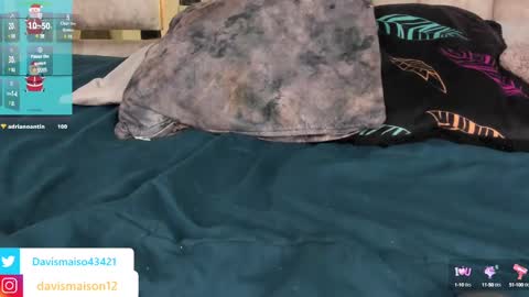 Maison Davis online show from December 12, 3:21 am