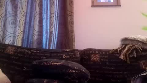 Snapshot of majorxoxo chatting on November 26, 7:31 am majorxoxo online show from November 26, 7:31 am