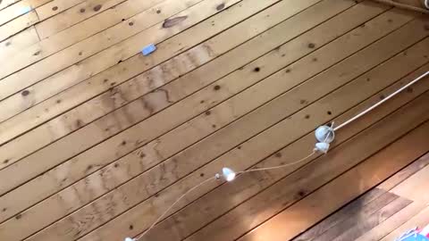 Snapshot of makeyousquirt1969 chatting on October 27, 7:01 am makeyousquirt1969 online show from October 27, 7:01 am