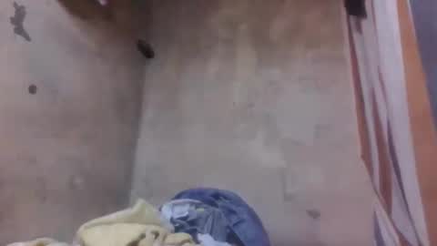 malalazah online show from March 8, 6:06 am