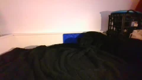 CommandbondageNipples bondage kink submissive lovense slave wgear. modequiethvyBondage If Password goldfish online show from December 14, 9:56 pm