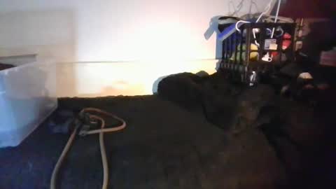 CommandbondageNipples bondage kink submissive lovense slave wgear. modequiethvyBondage If Password goldfish online show from January 18, 8:18 am