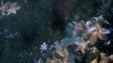 piu online show from April 2, 2:26 pm