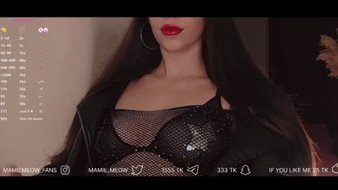 Snapshot of mamiemeow chatting on January 25, 3:30 pm Your Miss Alice online show from January 25, 3:30 pm