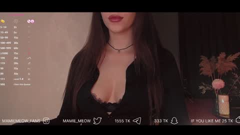 Snapshot of mamiemeow chatting on February 6, 11:43 am Your Miss Alice online show from February 6, 11:43 am