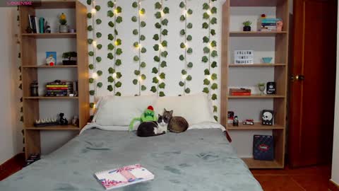 Danny online show from January 24, 3:32 am