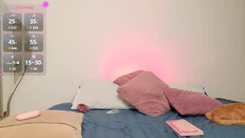     online show from January 11, 3:23 am