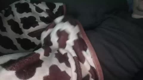 marek online show from November 14, 12:48 pm