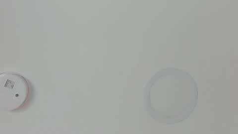 Maria Pettit online show from February 18, 11:17 am