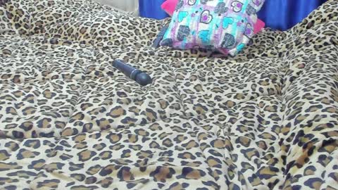 Snapshot of marie_marie03 chatting on January 23, 1:56 pm Marie   online show from January 23, 1:56 pm