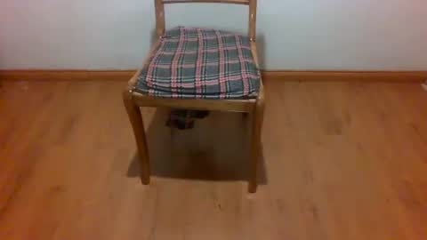 Snapshot of maripaula369 chatting on February 22, 3:23 am Maripaula369 online show from February 22, 3:23 am