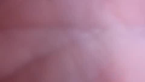 Snapshot of mark2711568331 chatting on November 4, 3:33 pm mark2711568331 online show from November 4, 3:33 pm