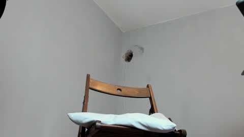 Snapshot of markwaynescr chatting on October 16, 12:06 pm MARK online show from October 16, 12:06 pm