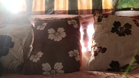 marocreda33 online show from December 24, 11:17 am