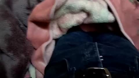 marocreda33 online show from March 11, 5:57 pm