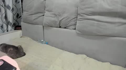 martaandserg online show from April 7, 2:39 pm